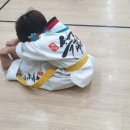 흑룡태권도장 이미지