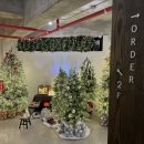 트리트멍멍 이미지