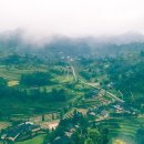 전용농장 이미지