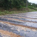 새석정온천 이미지