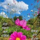 행복한의료기 이미지