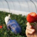 상남농장 이미지