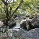 산이축산 이미지