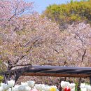 (주)연지