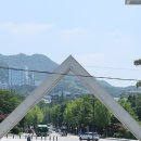 ‘제자 논문 표절’ 교수 해임 세 번째 시도한 서울대… 1심서 승소 이미지