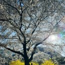 경북주유소 화장실 이미지