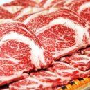 용산-서빙-395 이미지
