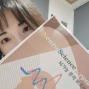 브레인학습발달클리닉 | 강남 뇌파검사 비용, 가격, 결과 해석, 소요시간 정보! ens브레인맵