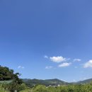 황계순만두