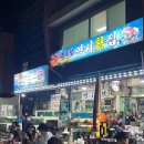 [장호항 맛집] 장호항 영기횟집 / 장호항 횟집 / 장호항 맛집 / 갈남항 밥집 / 내돈내산 후기
