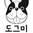 도그미 이미지