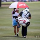 사뿐사뿐 이미지