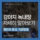 우리동물메디컬센터 이미지