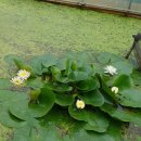 푸른알 영농조합법인 이미지