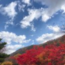 가평유스호스텔 이미지