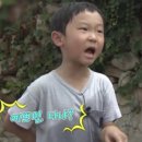 미어캣인더시티 이미지