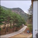 정선파인케어빌 이미지