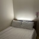 파루스셀라 성수 이미지