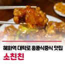 산서초등학교 | 소친친🏮, 혜화역 대학로맛집 홍콩식중식당 | 종로맛집 대학로데이트 내돈내산