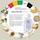 경화푸드 이미지