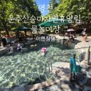 운주산승마자연휴양림 | 영천 운주산승마자연휴양림 :) 가성비 좋은 물놀이장 그리고 숲속의집