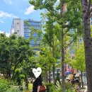 상수 카페 공명 홍대점, 쉬어가기 &amp; 카공 좋은 홍대 분조카