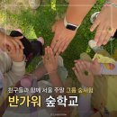 민들레공원 | 서울 숲체험 반가워 숲학교, 주말 6세 월드컵공원 그룹수업 후기