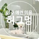 허그멍 이미지