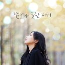 지니어스디(D) 티스토리