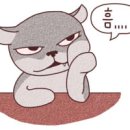 국제전자 이미지
