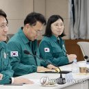 국립중앙의료원 이미지