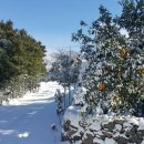 한밭농장 이미지