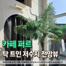 우금 | 포천 카페 퍼르 탁 트인 우금 저수지 전망뷰