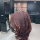 더스타일헤어세이브존 이미지