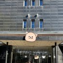 글램독 양양 | 양양 애견동반 숙소 솔직 후기｜글램독, 기대 이상이었던 이유