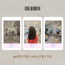 마네헤어 - 성남시 수정구 | 마네헤어