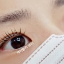 제이블리뷰티 - 21356 | 제이블리뷰티