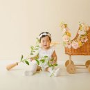 하온 | 일상 가득 | 아기 돌 사진! 베이비스튜디오 광명 &#39;하온스튜디오&#39; 촬영 후기