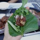 단양 별마루캠핑장 이미지