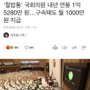 日 국회의원 급여 20% 삭감 결정, 코로나 고통 분담 우리는? 이미지