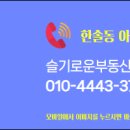 슬기로운부동산중개사무소 이미지
