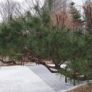 장자대로 이미지