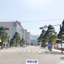 가로수길 이미지