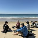 26년 3/7 Crystal Cove 산행 사진 이미지
