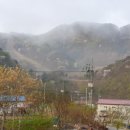 콩꽃씨 네이버블로그