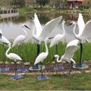 학 조형물 이미지