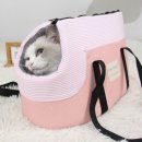 백 동물병원 이미지