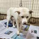 광주TNR동물병원(초월) 이미지