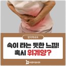 서초바른내과 이미지