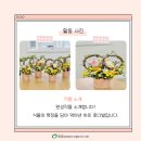 밀알꽃꽂이 | 원예활동(하트 모양 꽃다발 만들기) 후기🌸